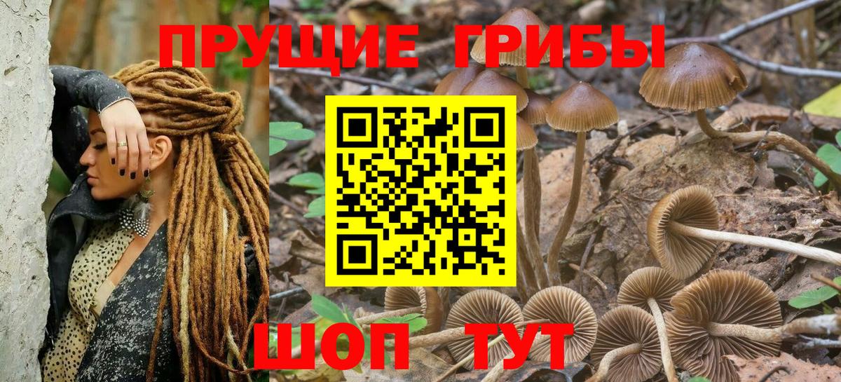 Псилоцибиновые грибы Magic Shrooms Щёлково