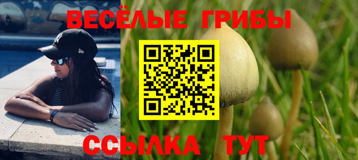 Щёлково  Галлюциногенные грибы MAGIC MUSHROOMS  Псилоцибиновые грибы MAGIC MUSHROOMS  Вход с VPN 
